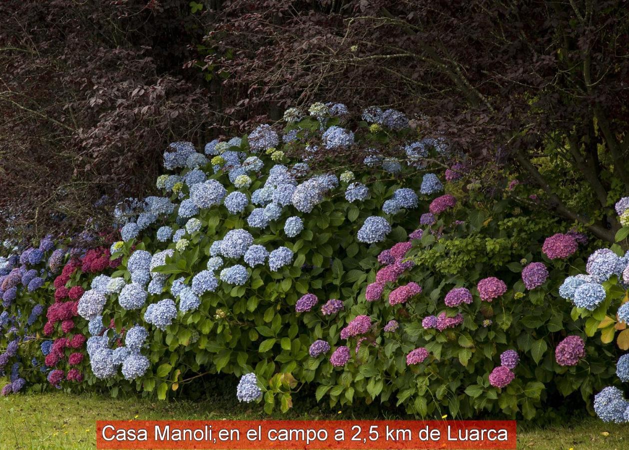 Casa Manoli Luarca Guest House Almuna Exterior photo